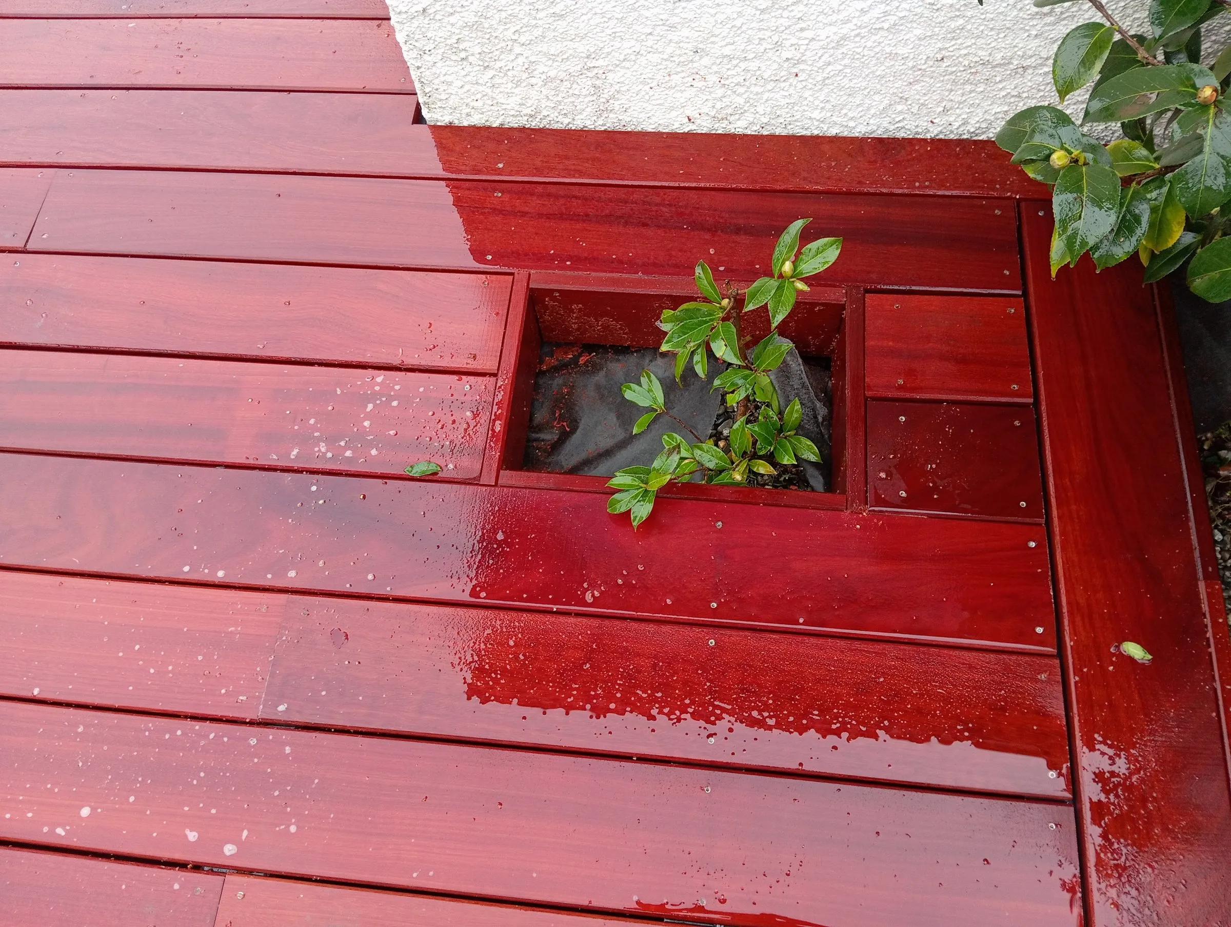 Terrasse en bois réalisée par SR Aménagement